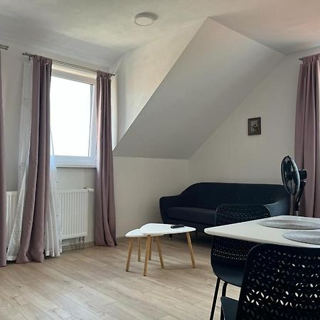 Sabina Apartaments Sfântu-Gheorghe 외부 사진