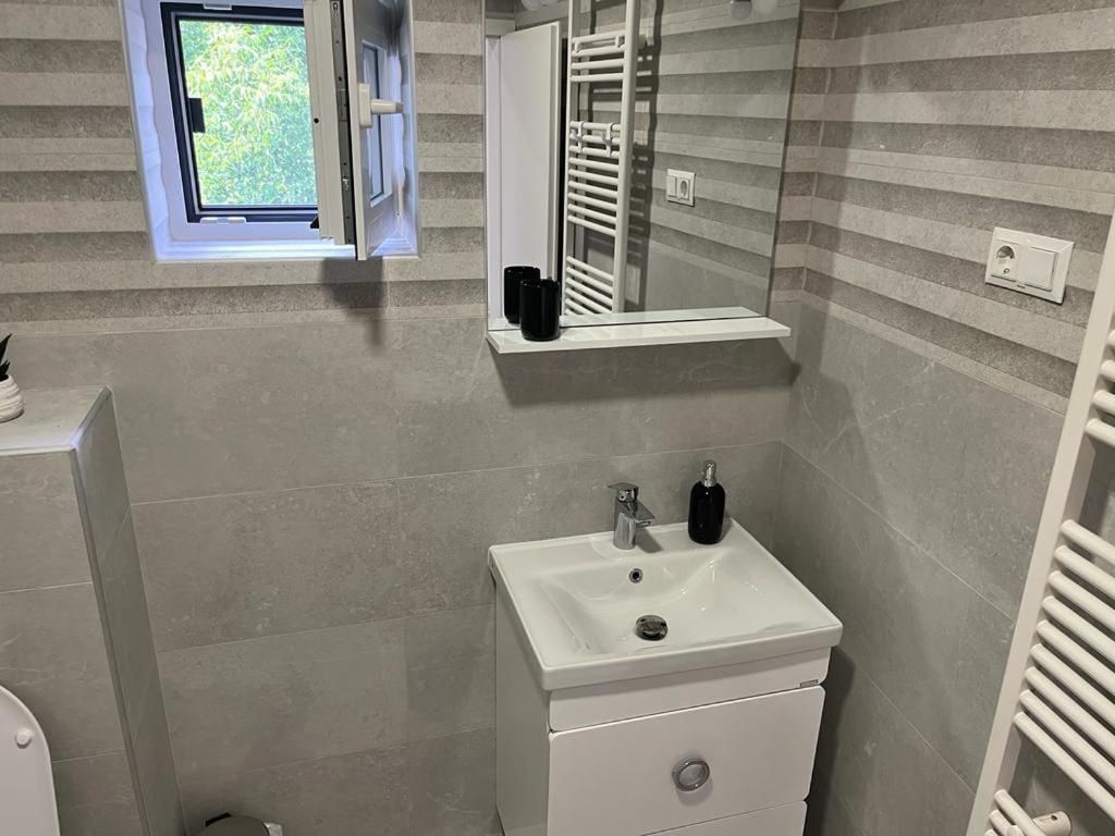 Sabina Apartaments Sfântu-Gheorghe 외부 사진
