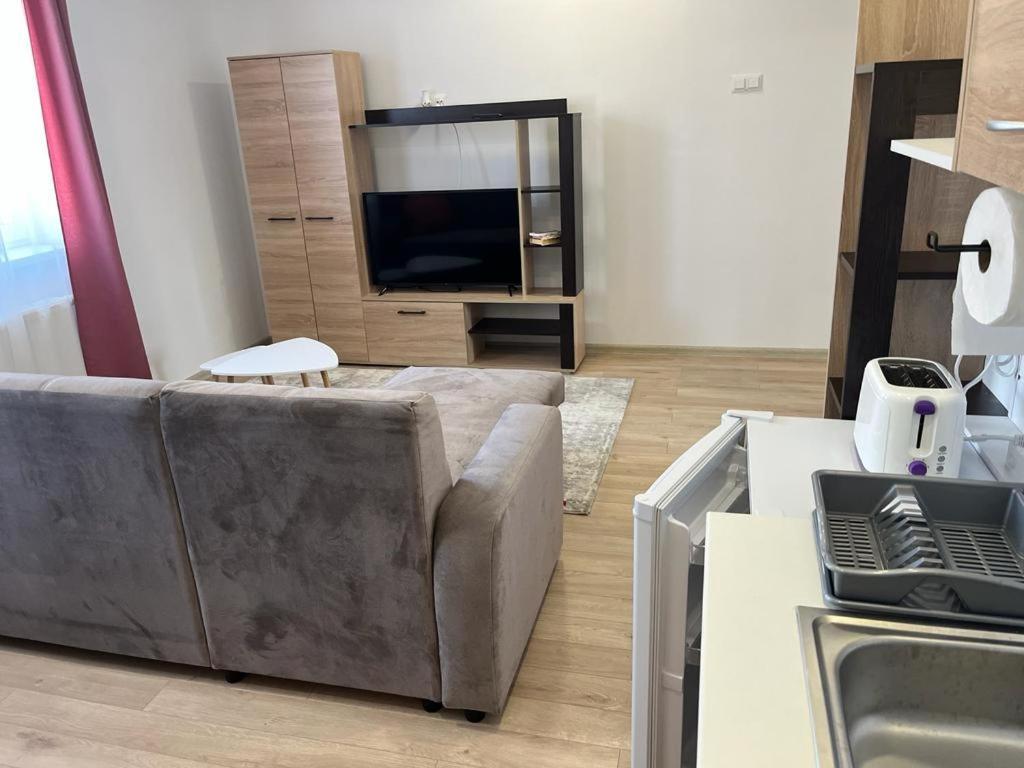 Sabina Apartaments Sfântu-Gheorghe 외부 사진