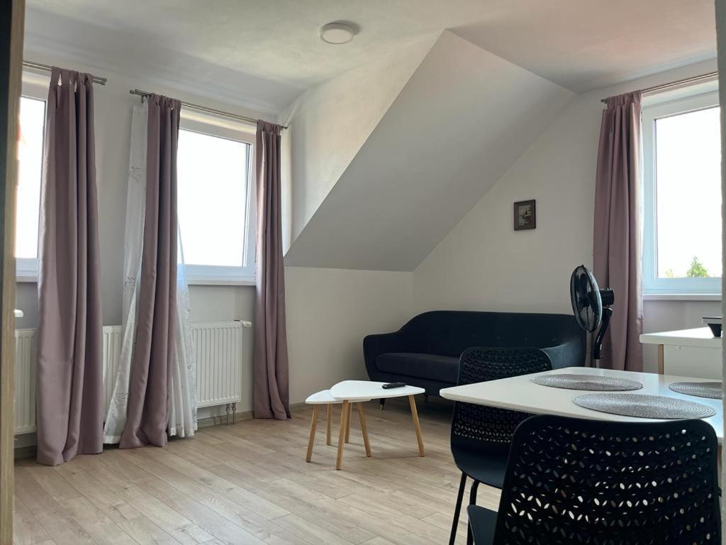 Sabina Apartaments Sfântu-Gheorghe 외부 사진