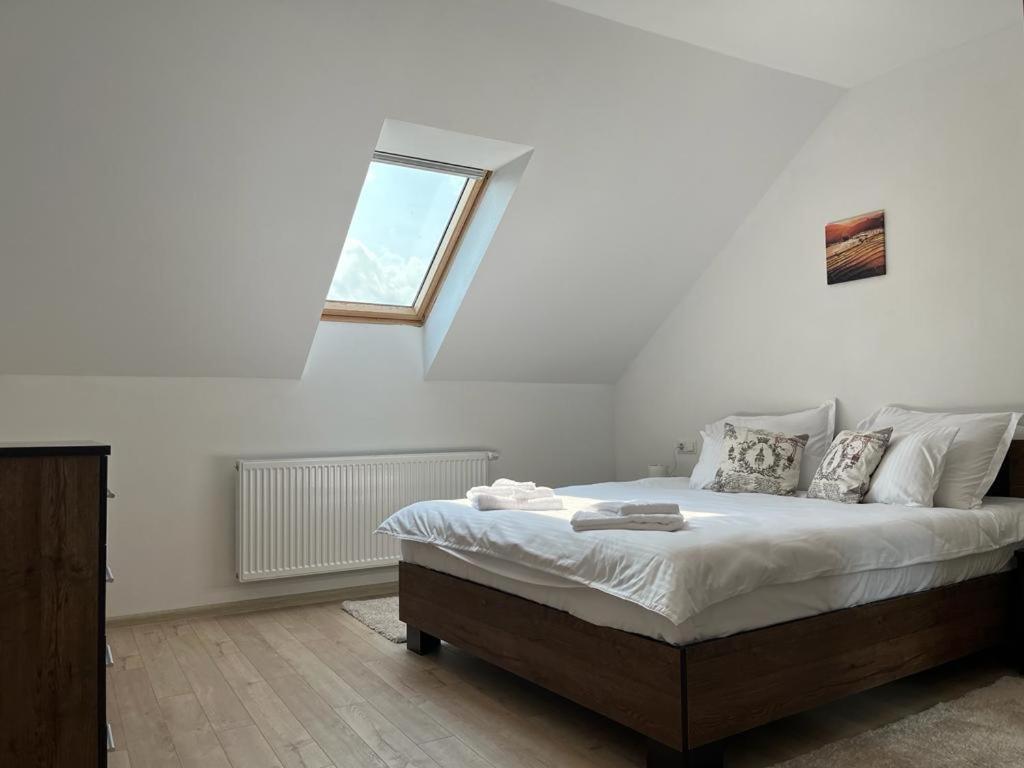 Sabina Apartaments Sfântu-Gheorghe 외부 사진