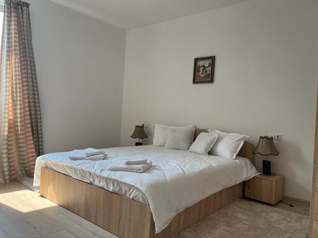 Sabina Apartaments Sfântu-Gheorghe 외부 사진