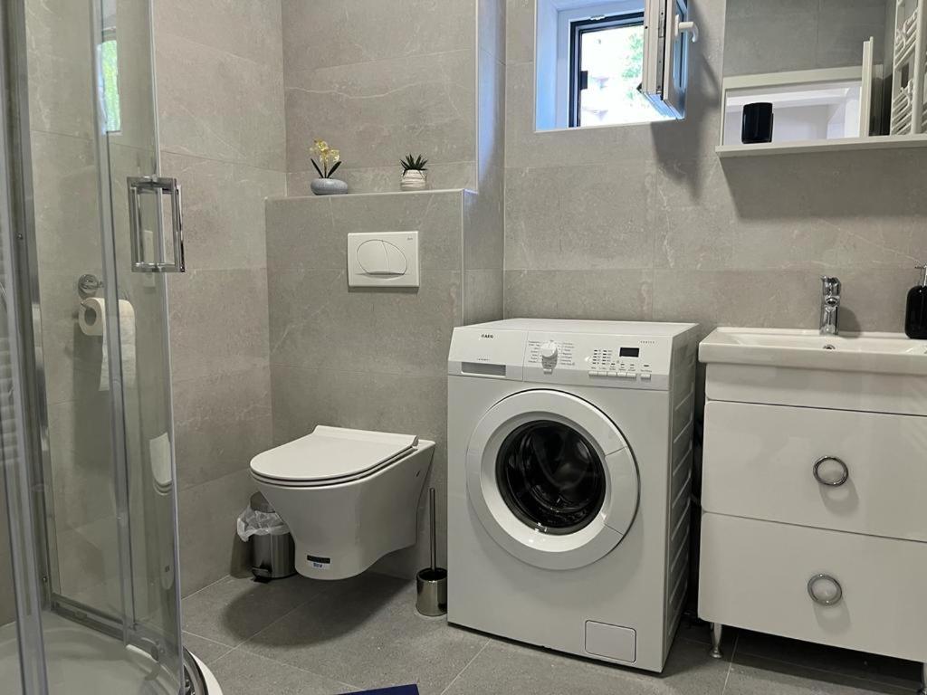 Sabina Apartaments Sfântu-Gheorghe 외부 사진
