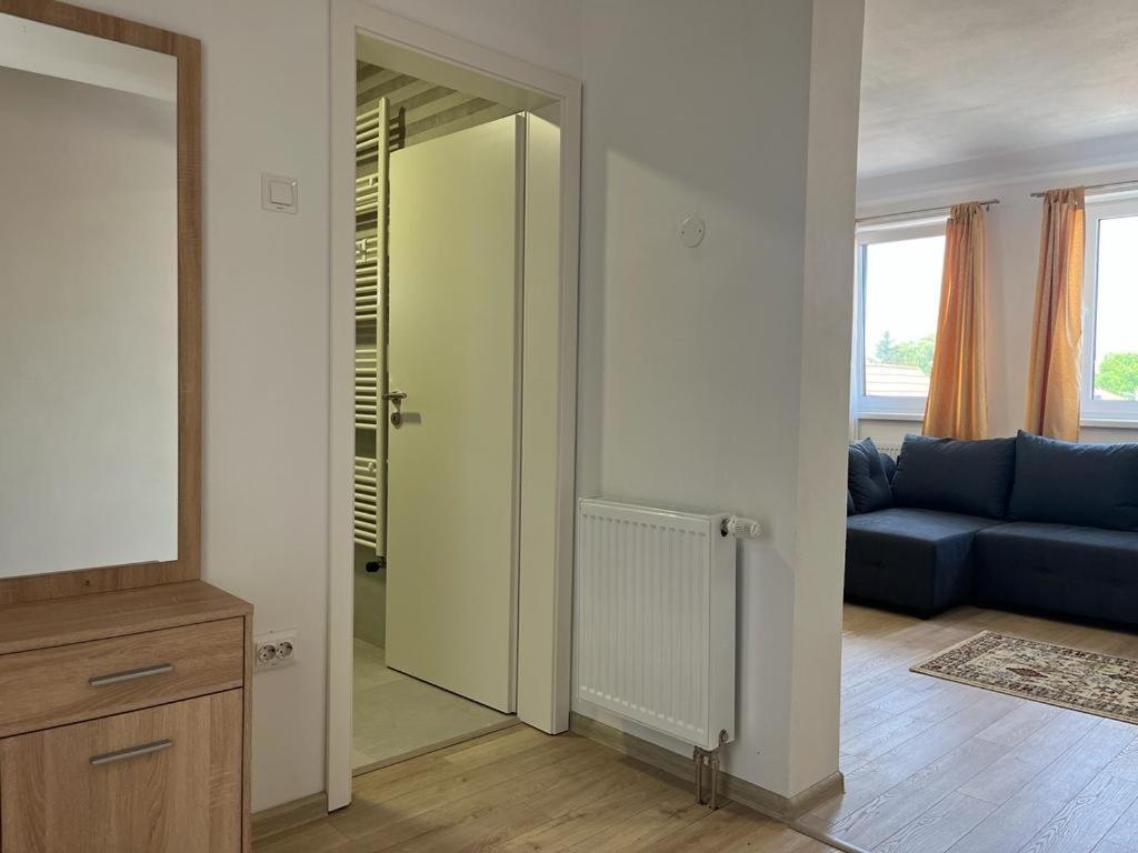 Sabina Apartaments Sfântu-Gheorghe 외부 사진