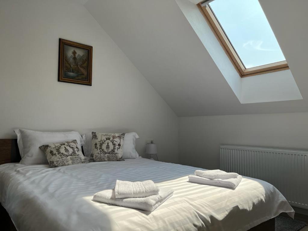 Sabina Apartaments Sfântu-Gheorghe 외부 사진