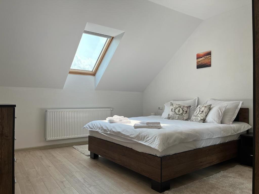 Sabina Apartaments Sfântu-Gheorghe 외부 사진