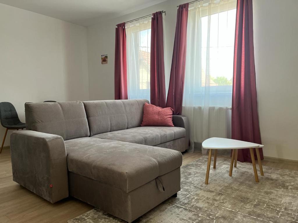 Sabina Apartaments Sfântu-Gheorghe 외부 사진