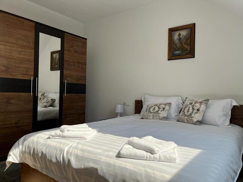 Sabina Apartaments Sfântu-Gheorghe 외부 사진